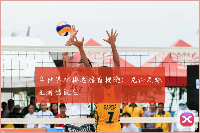 年世界杯排名榜首揭晓：见证足球王者的诞生