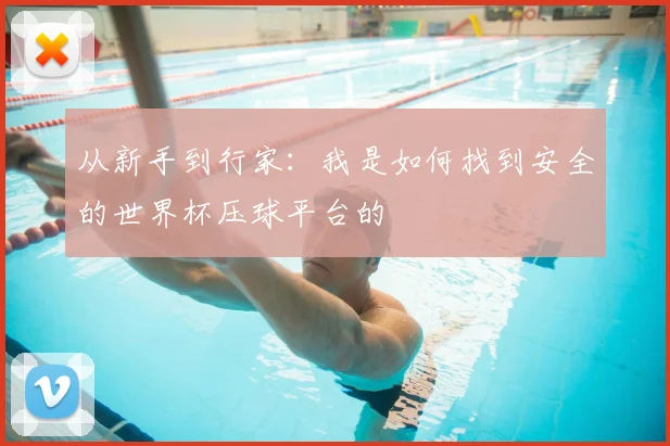 从新手到行家:我是如何找到安全的世界杯压球平台的