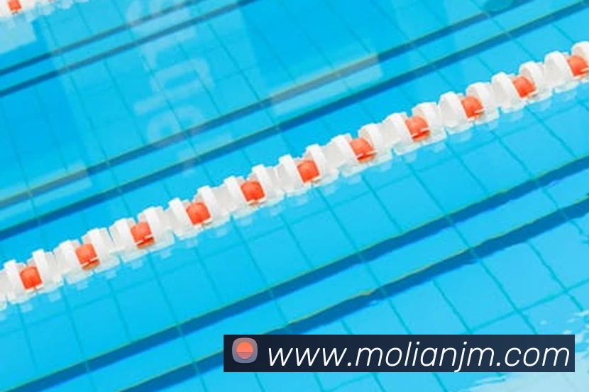 leyu乐鱼官方官网APP 封面图